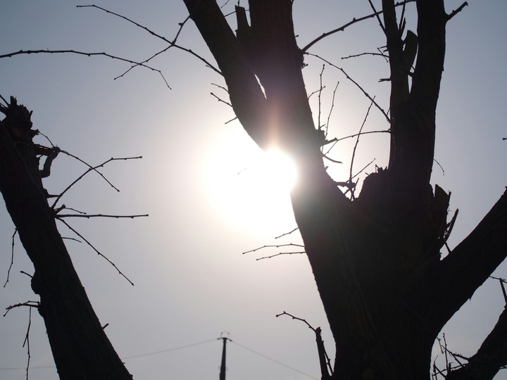 Sun