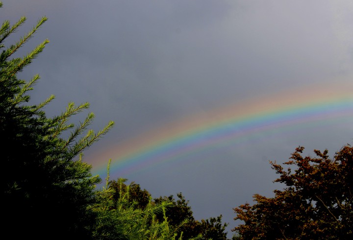 Regenbogen ?