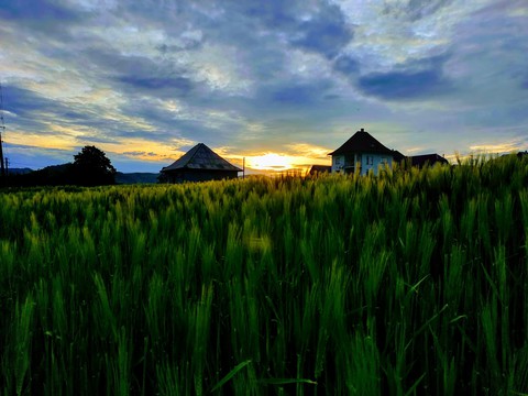 sunset