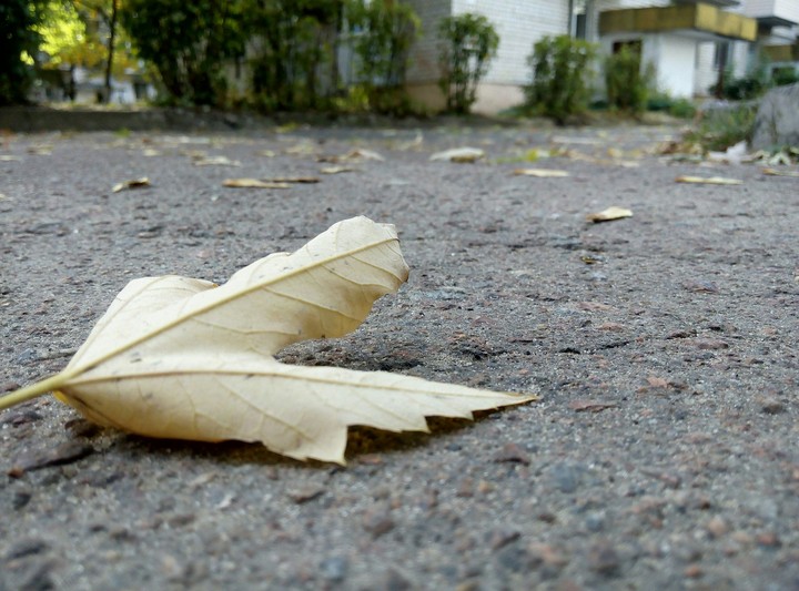 Autumn