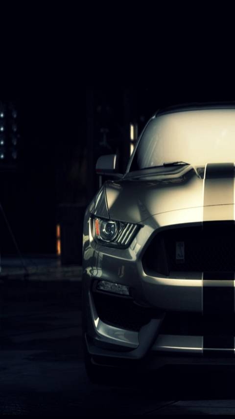 black mustang