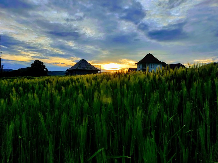 sunset
