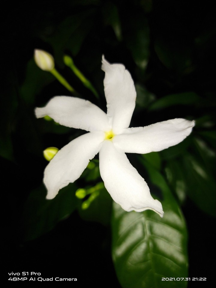 my click
