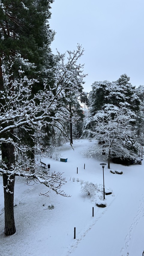 sfondi landscapes, freezing
