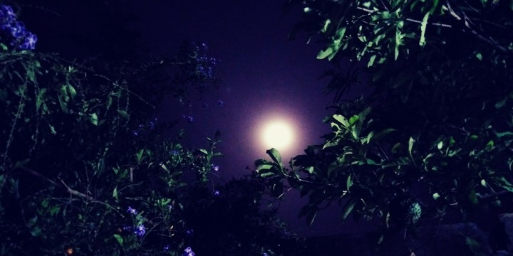 Lua de Novembro