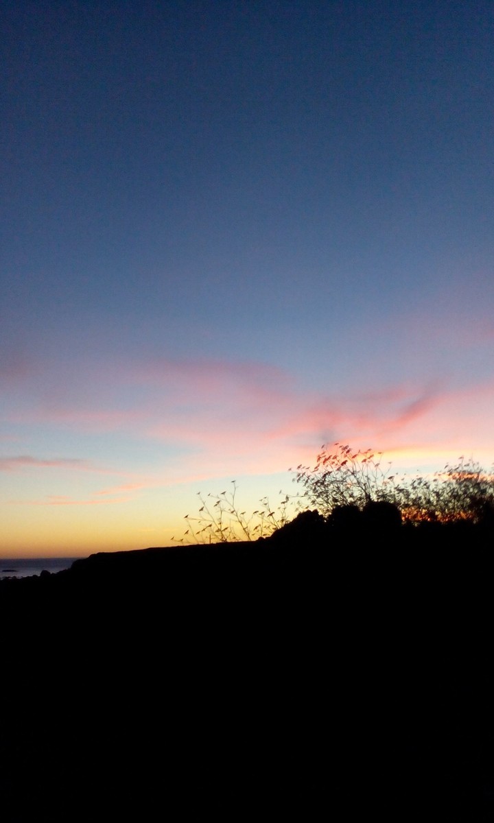 sleepy dusk