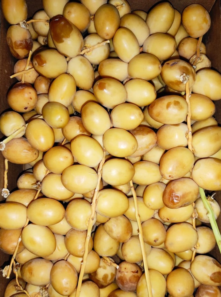dates