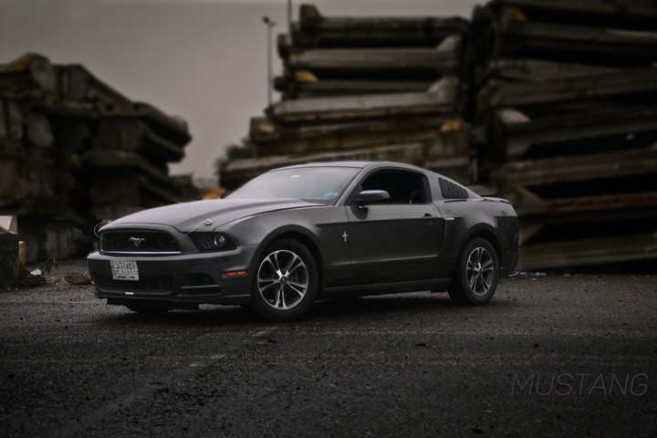 Mustang