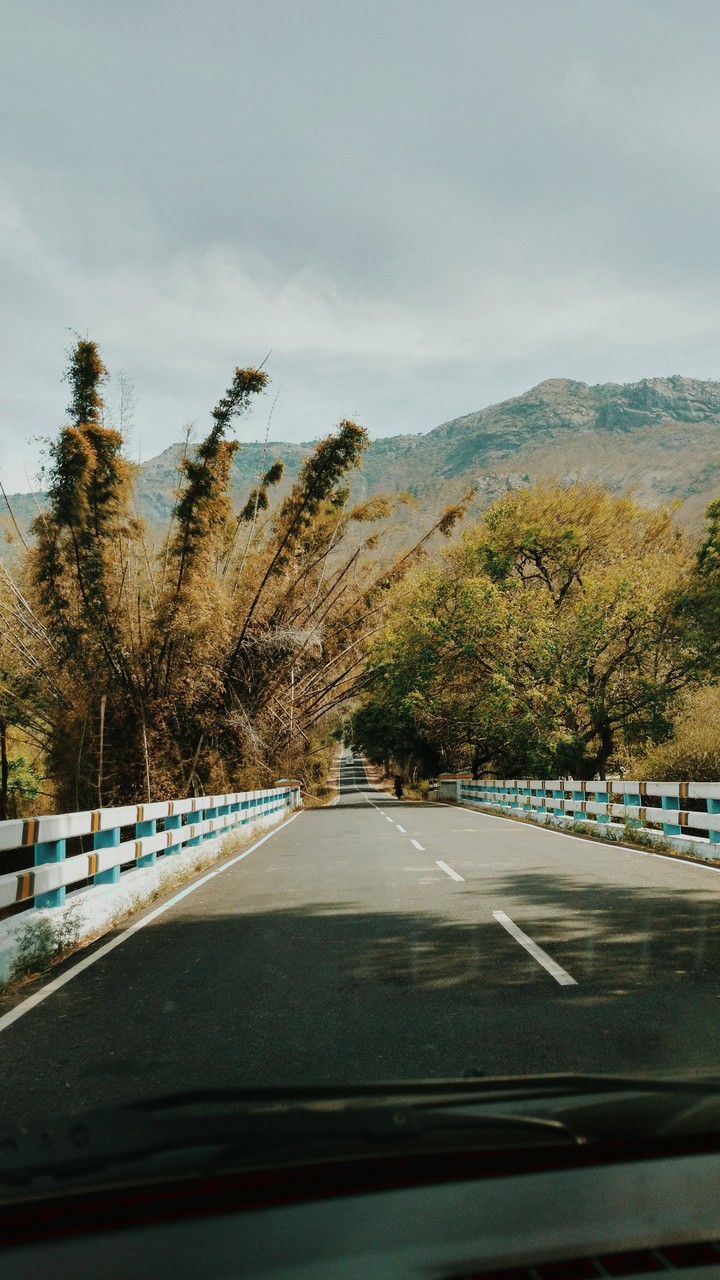 ooty