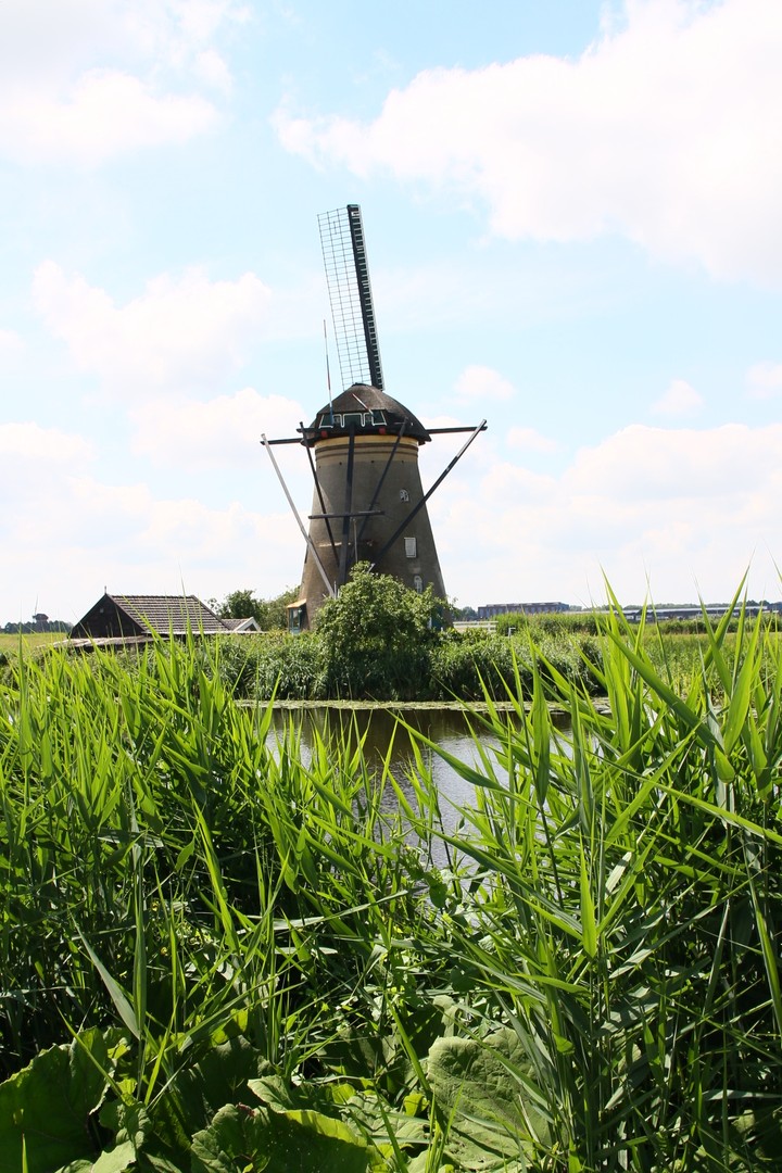 molen