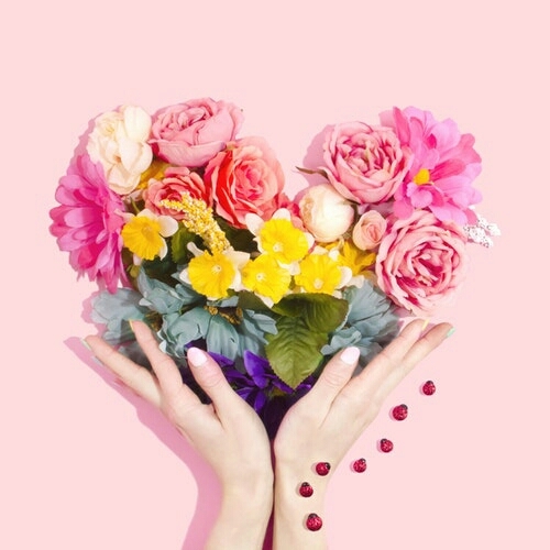 Flowers for u ♥