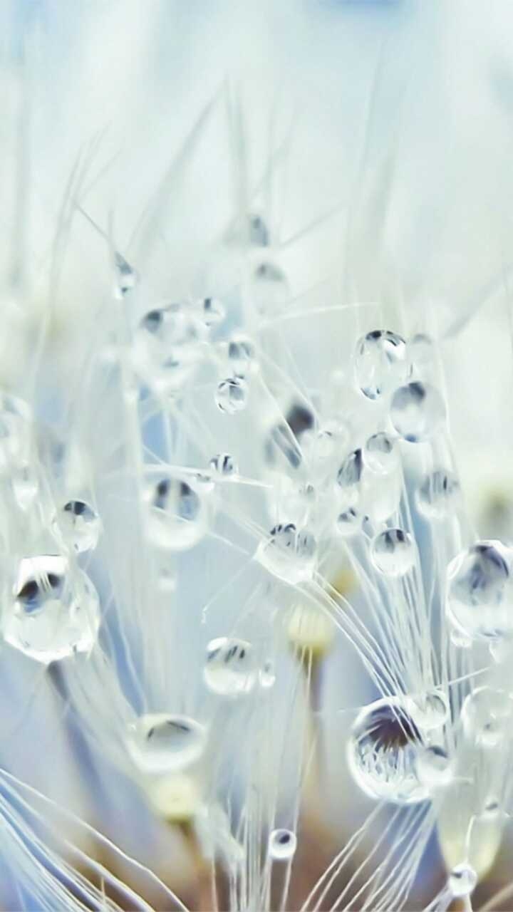 Природа