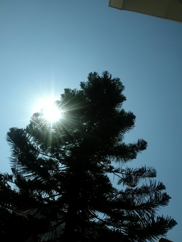 sun