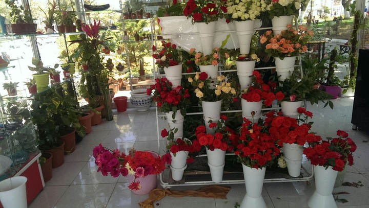 Flowers