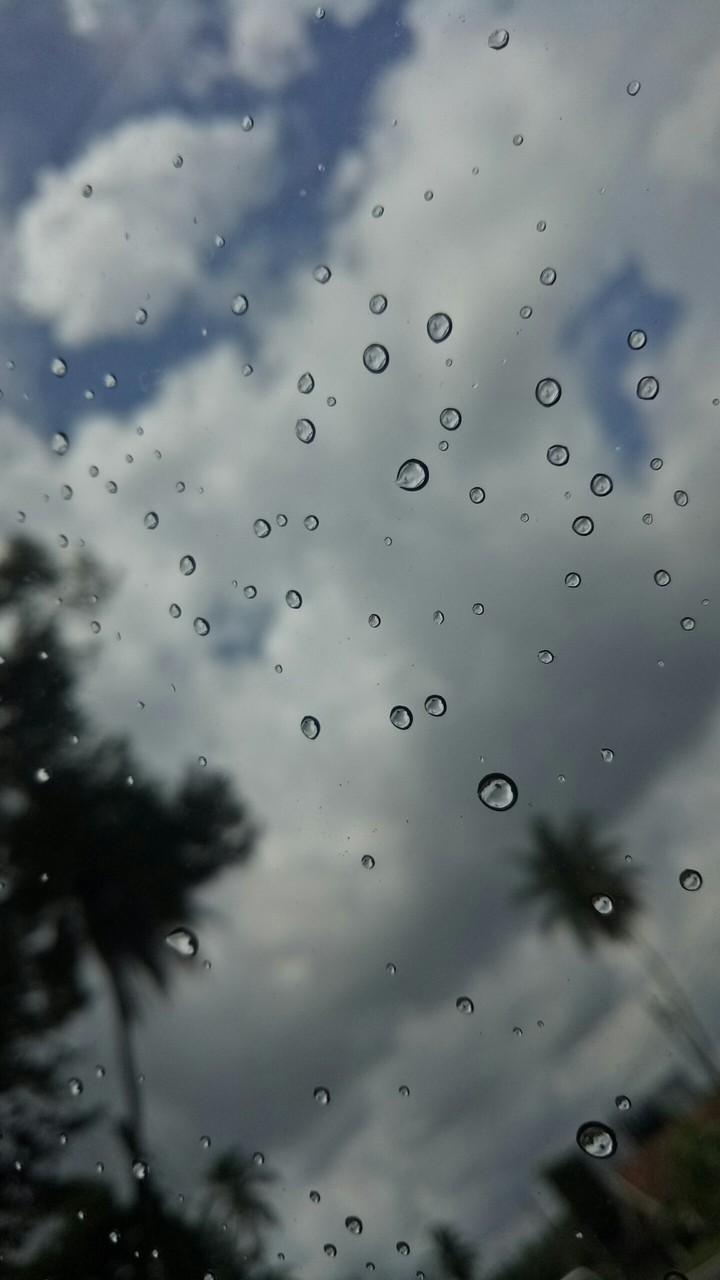Drop let's Day