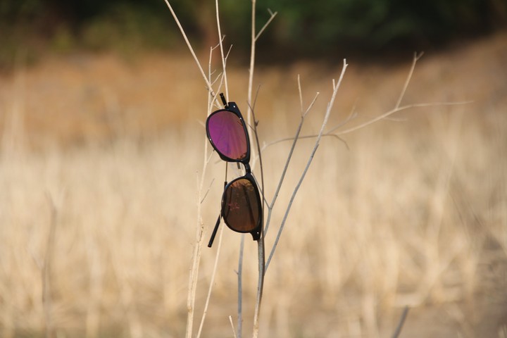 glasses mdb_sk