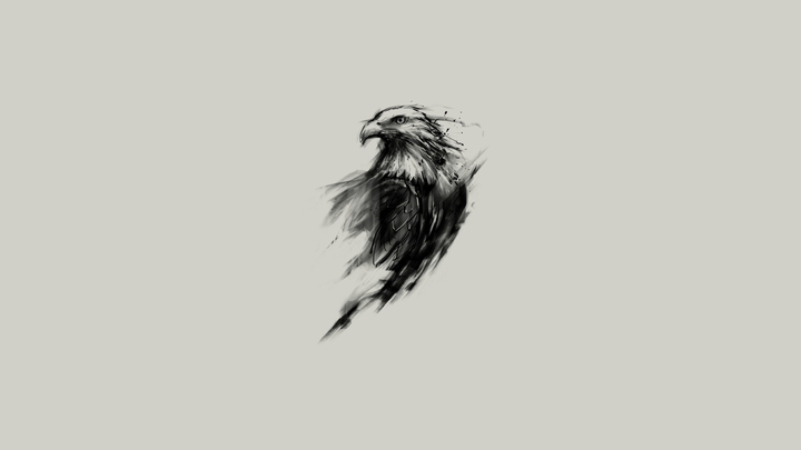 Hawk