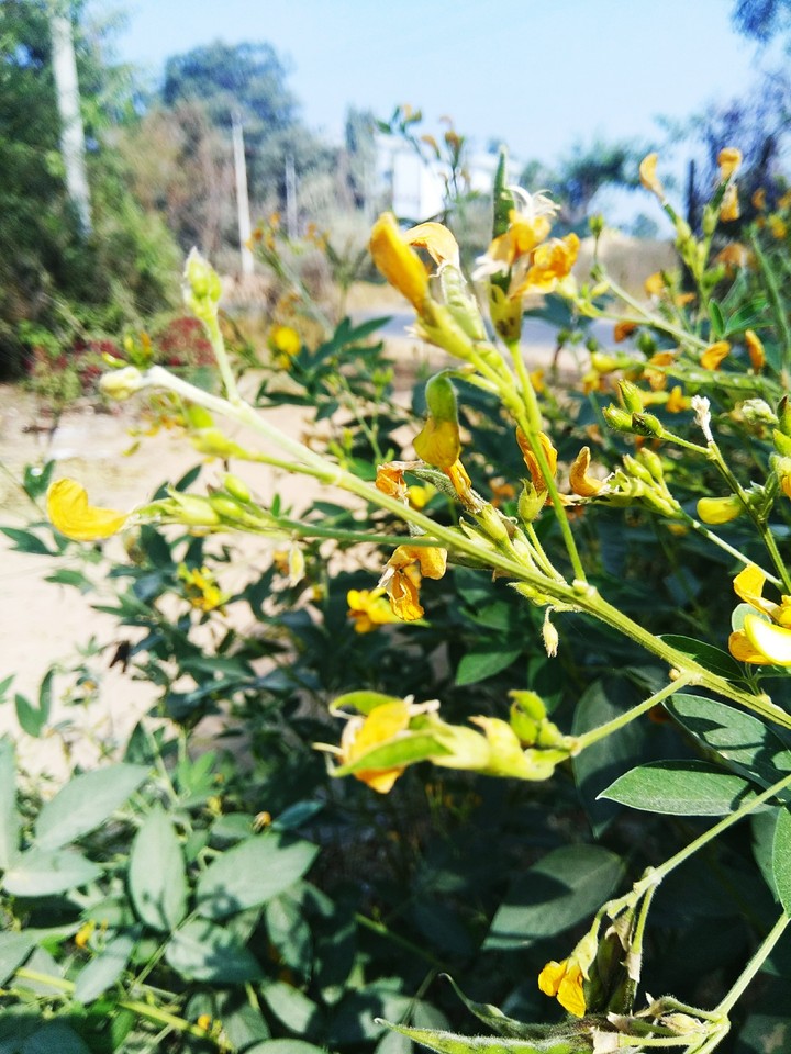 The Nature