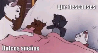 jajajajaja