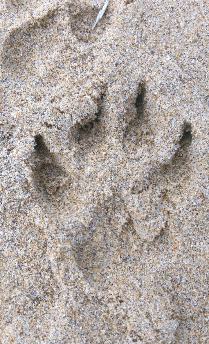 Sand