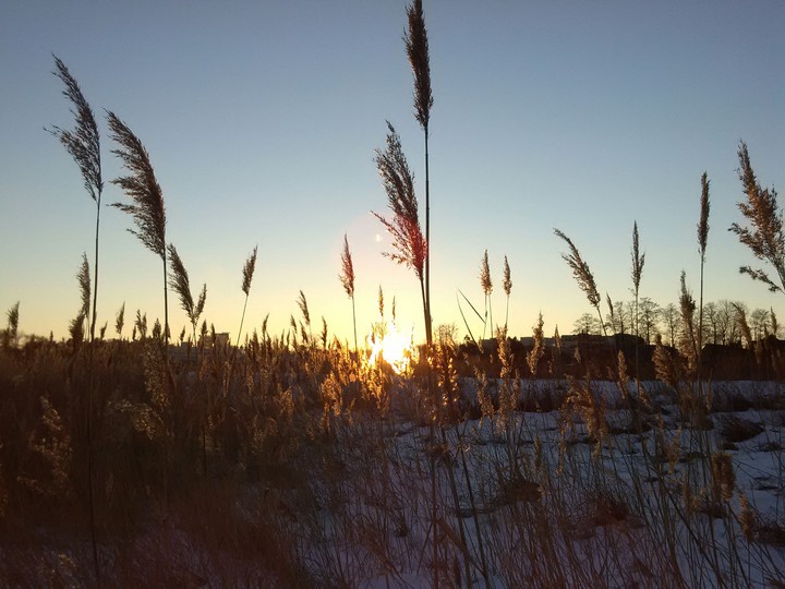 Just a winter sunset..
