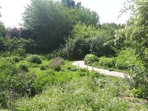 green way