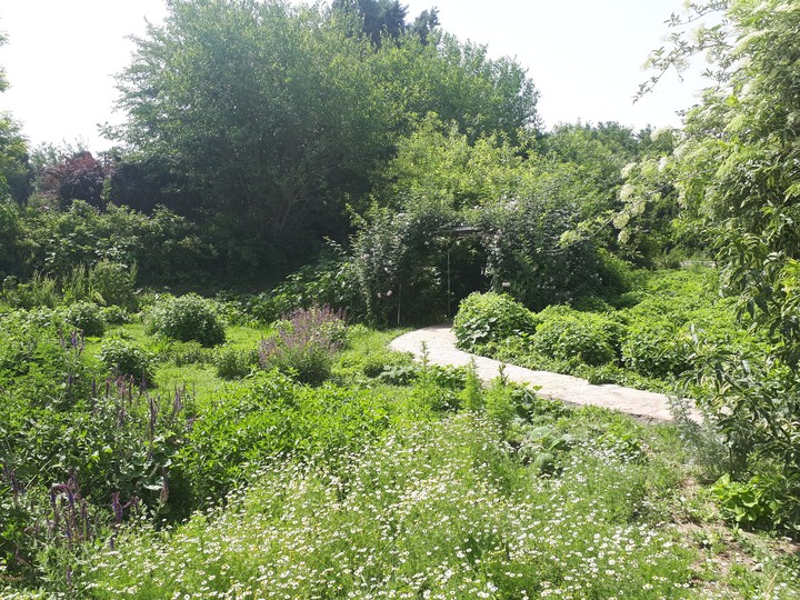 green way