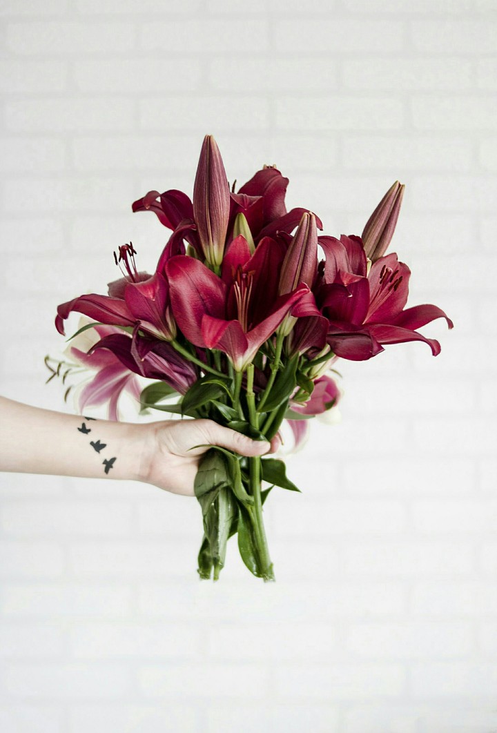 lily