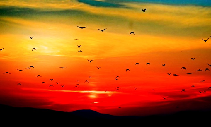 sky