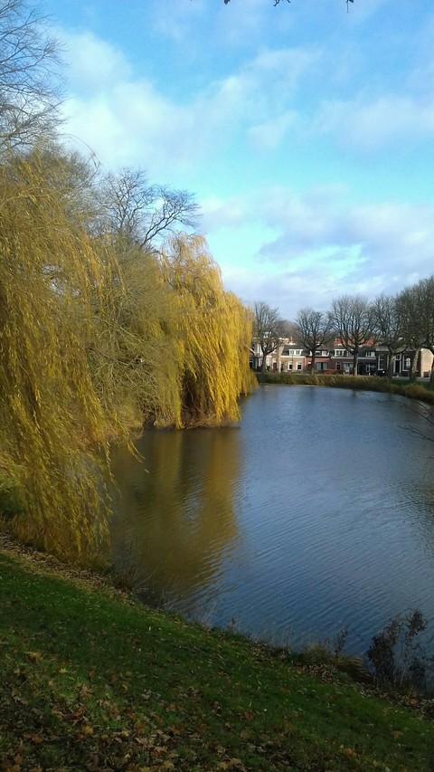 Netherlands
