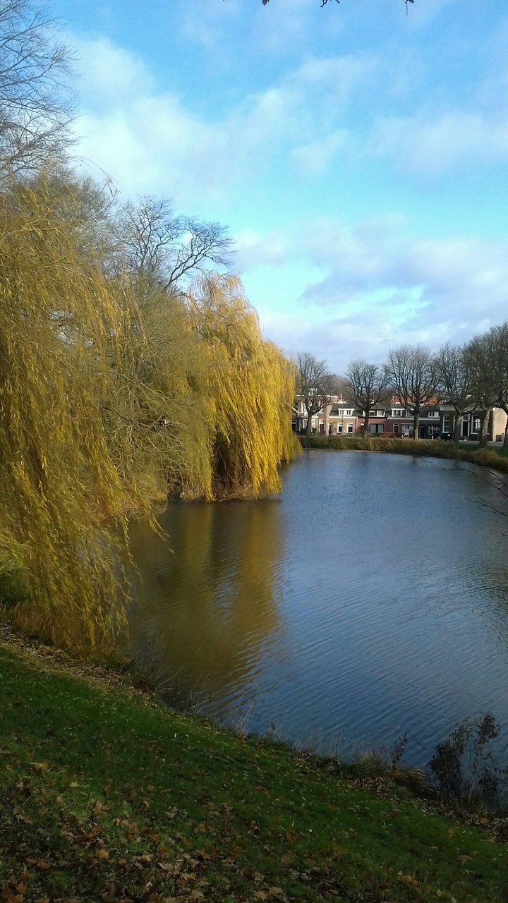 Netherlands