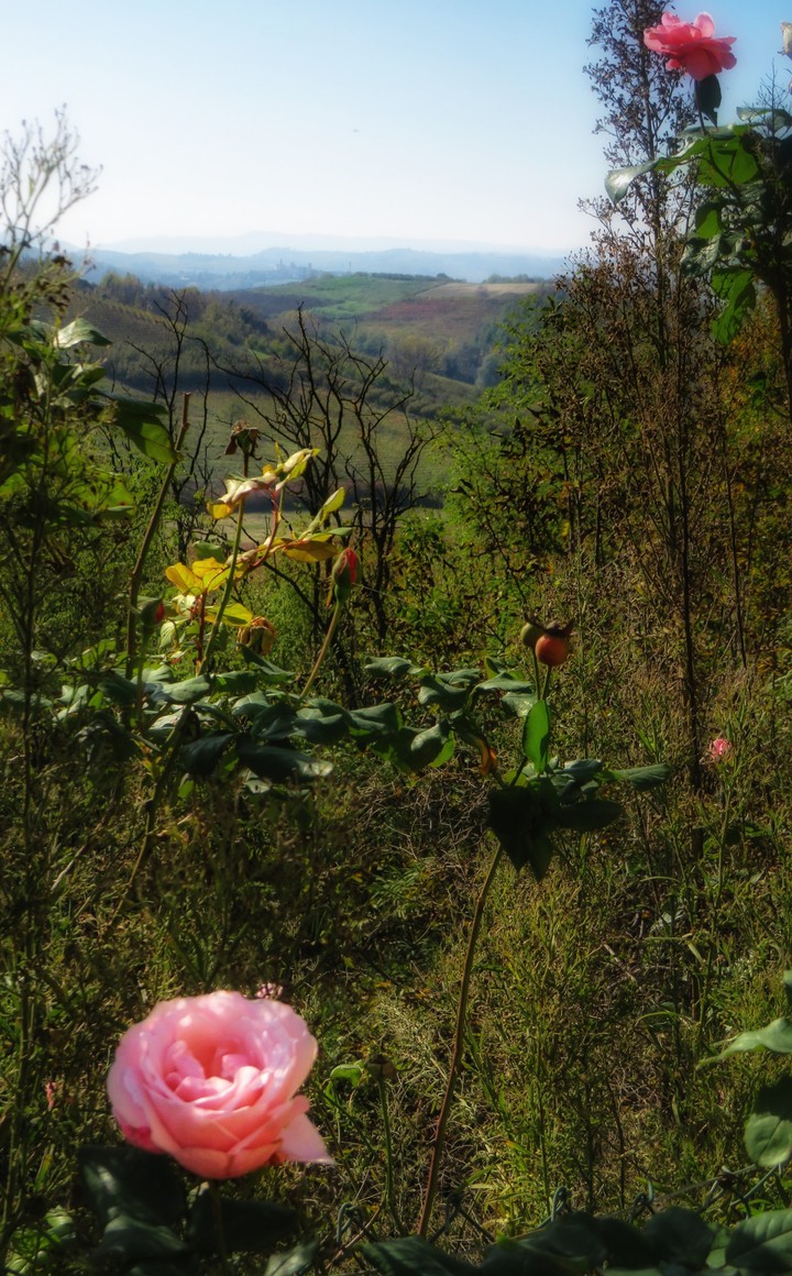 The colours of Fall