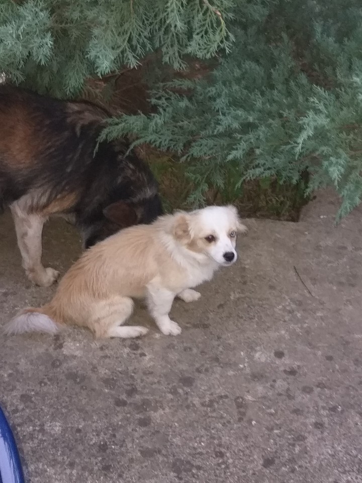 Echte Freundschaft