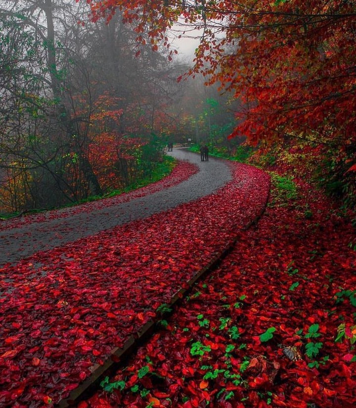 Autumn