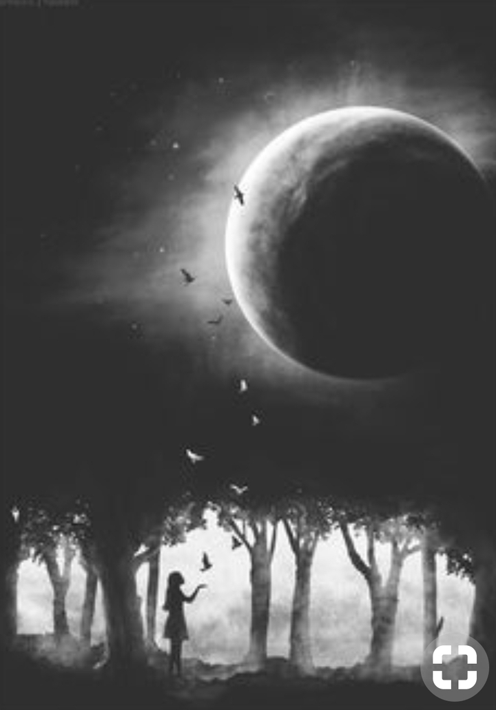 Night