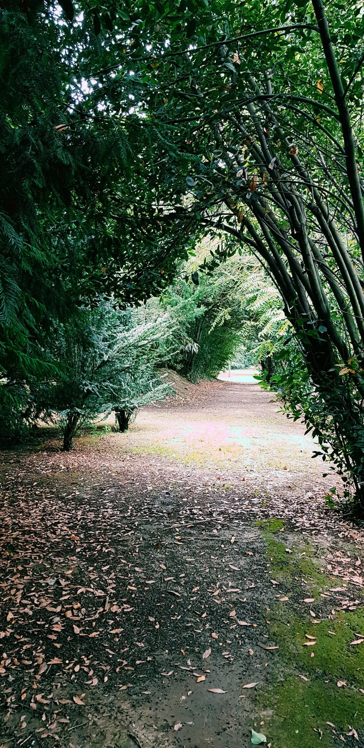le chemin au parc