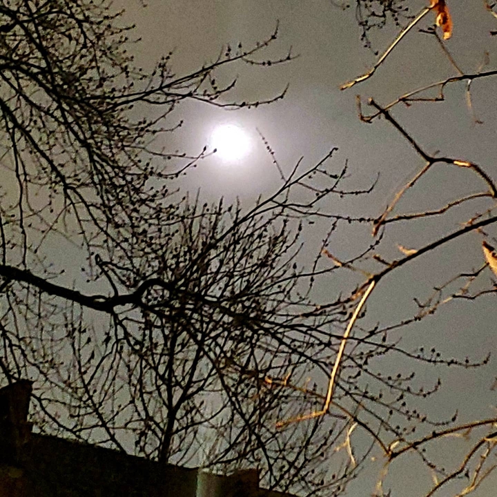 Supermoon 4_7_2020