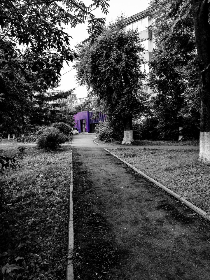 road to color