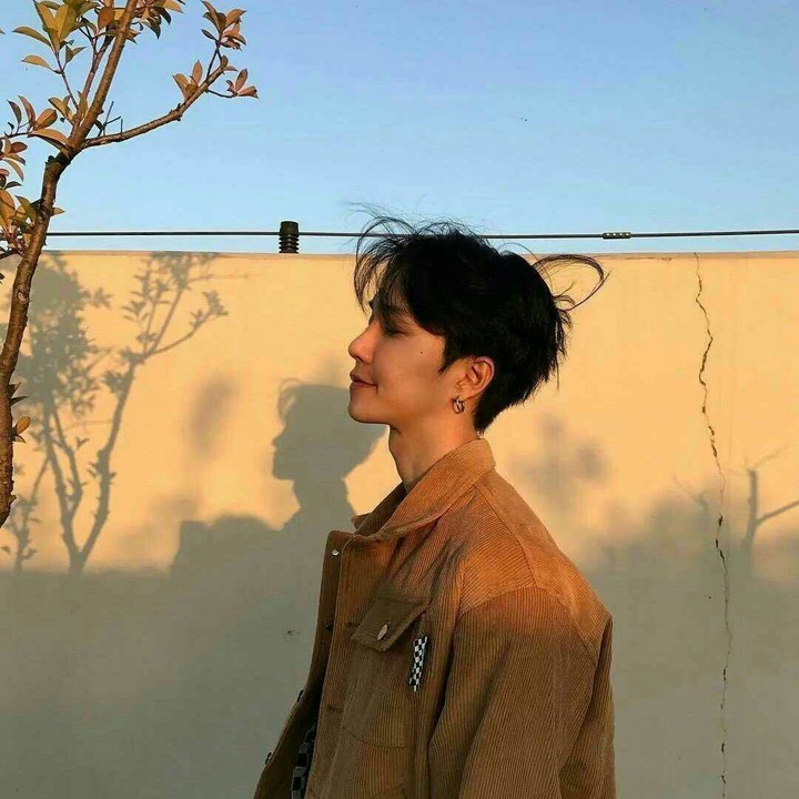 aesthetic