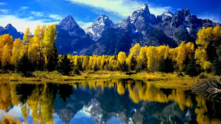 Beautiful World in beautiful Colors