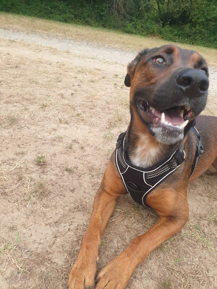 Tyson