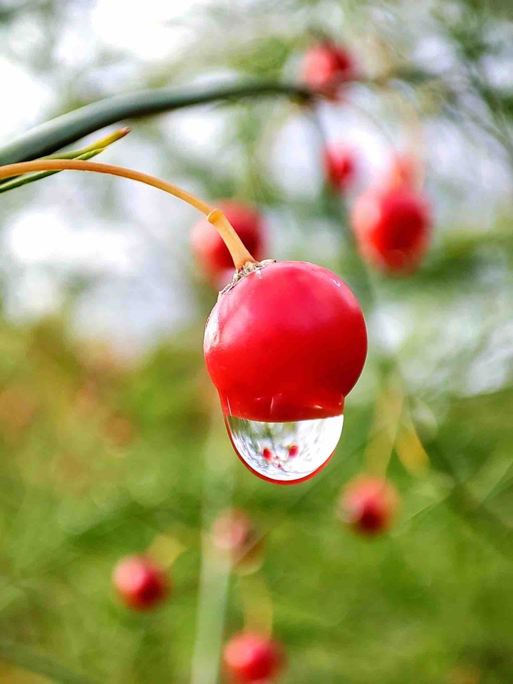 after the rain
