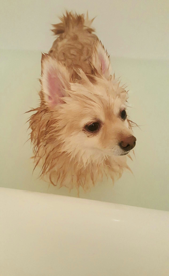 Bathtime 2