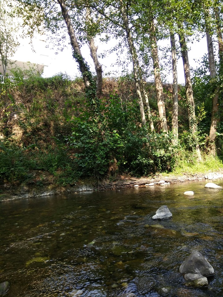 A beautiful creek