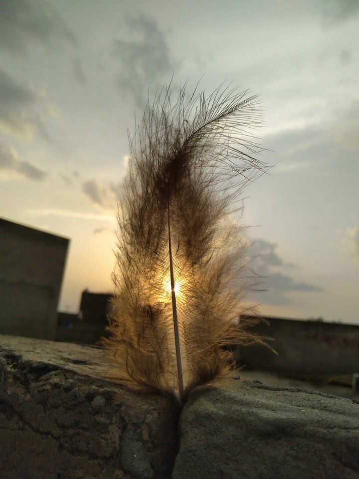 experiences