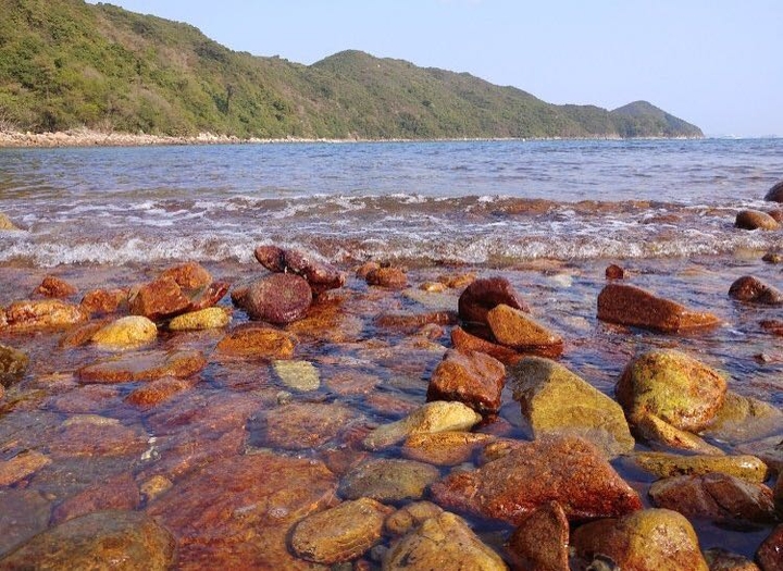 Sharp Island