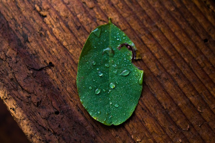Rainy day!