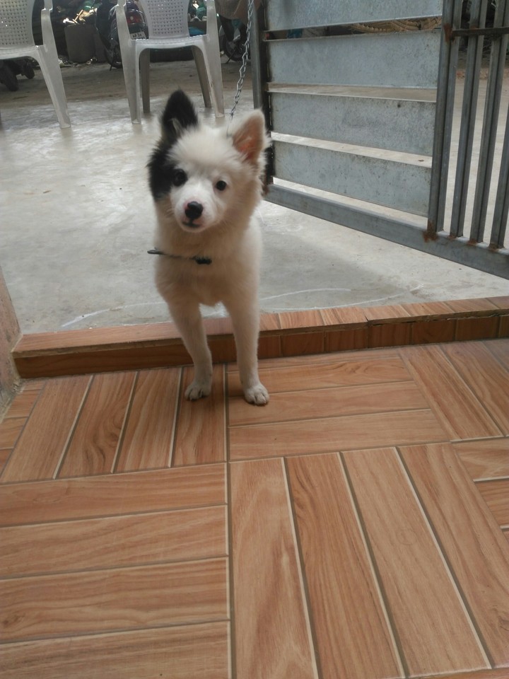 gracy.....