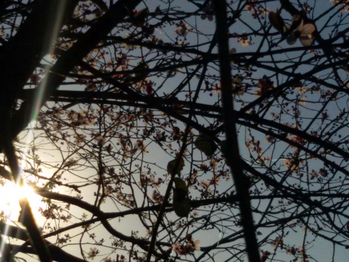 Springtime