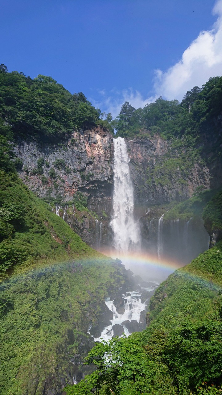 fall and rainbow